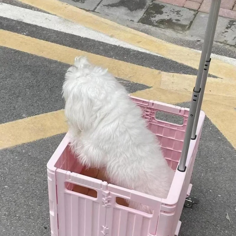 Folding Convenient Supermarket - огляд і ціна Outdoor Camping Trolley