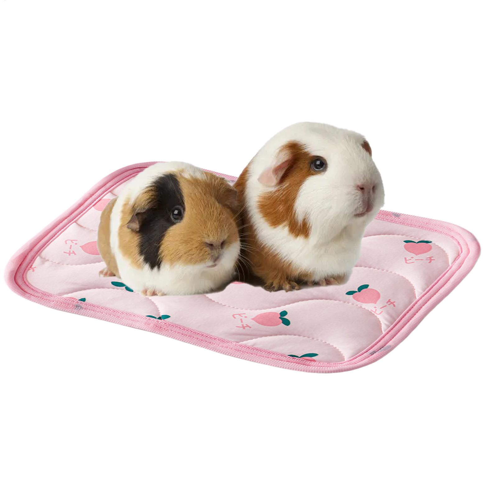 Pet Cooling Mat Washable Small - огляд і ціна Outdoor Camping Dog Bed