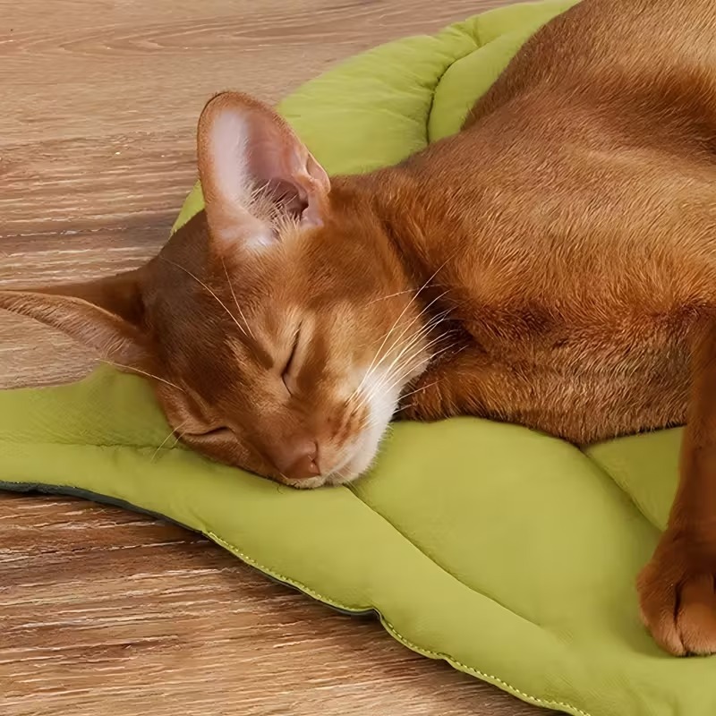 Reversible Soft Leaf Pet Cushi - огляд і ціна Outdoor Camping Dog Bed