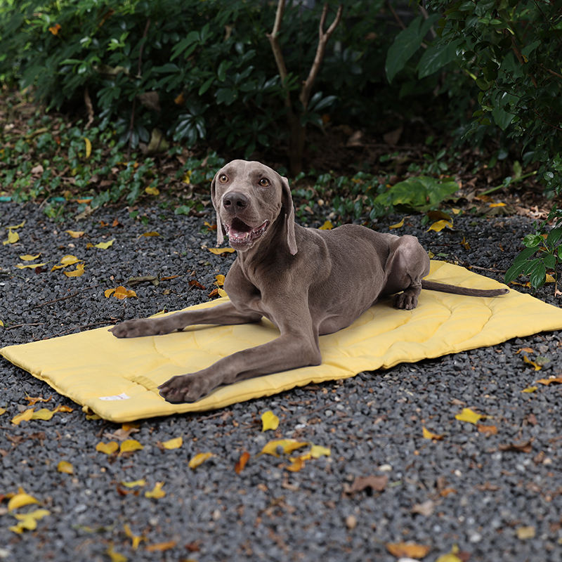 Portable Pet Mat Foldable Pet  - огляд і ціна Outdoor Camping Rugs