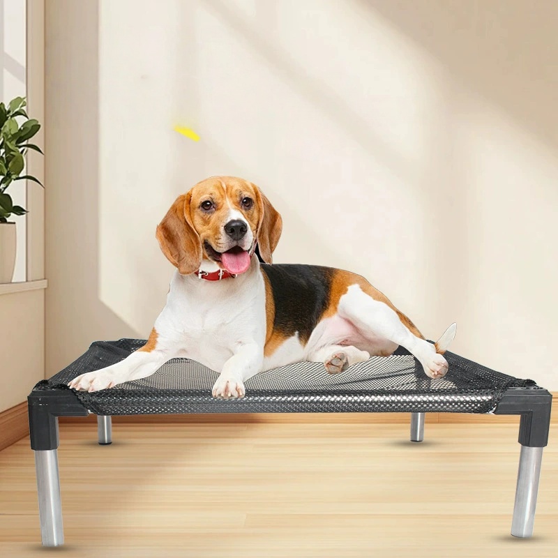 Cooling Elevated Dog Bed - Rai - огляд і ціна Outdoor Camping Dog Bed