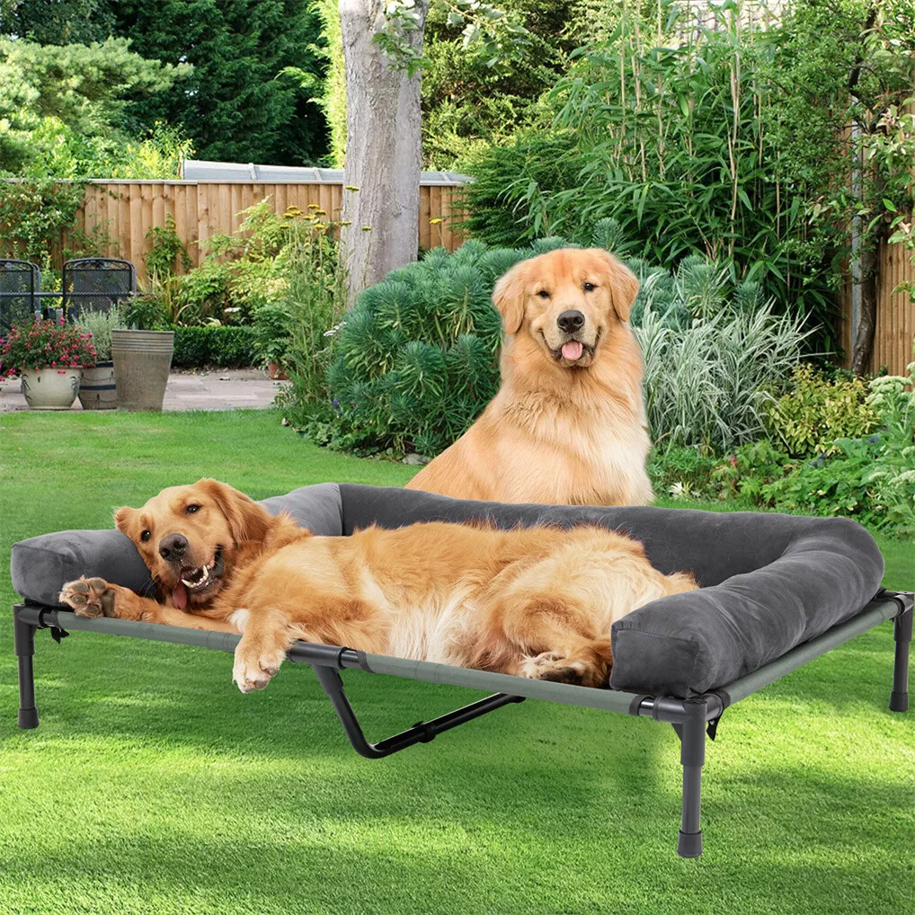BINGOPAW Outdoor Dog Bed Eleva - огляд і ціна Bed Outdoor Camping