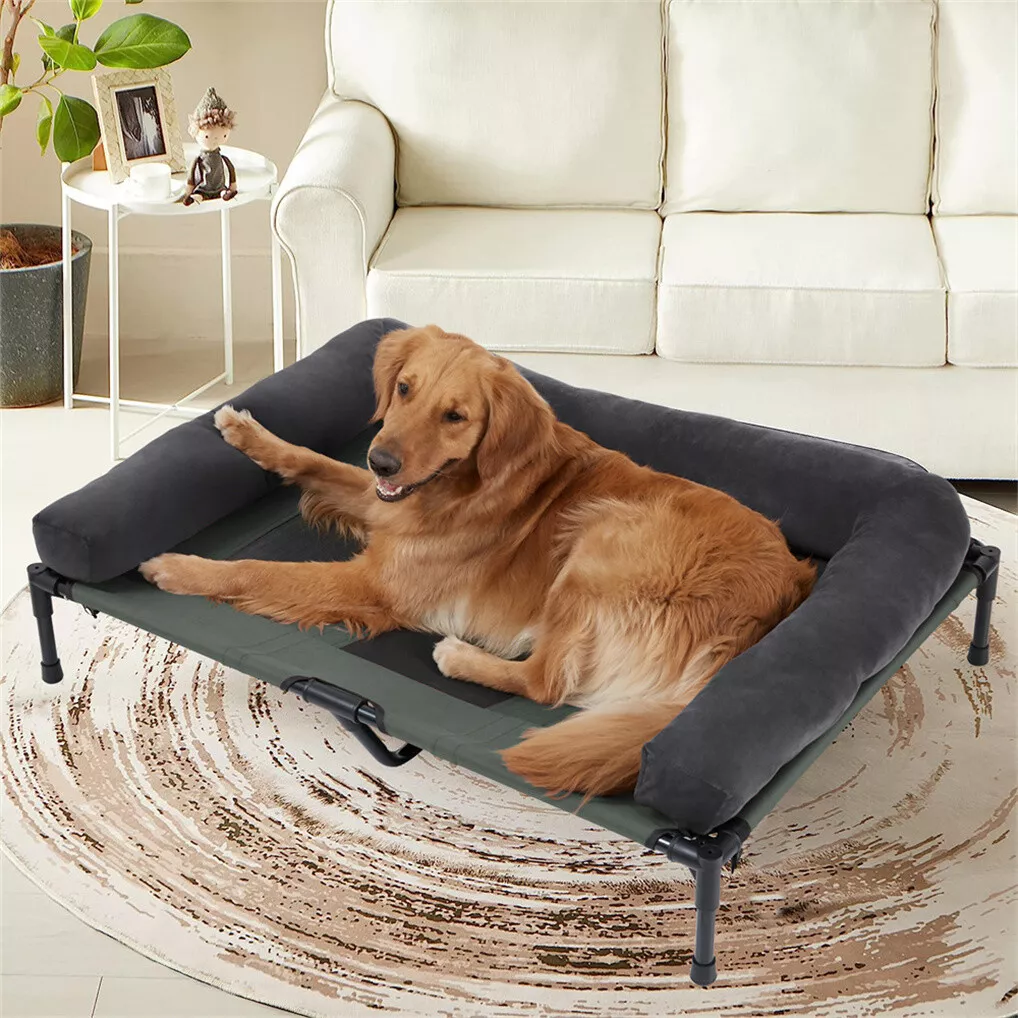 BINGOPAW Outdoor Dog Bed Eleva - огляд і ціна Bed Outdoor Camping