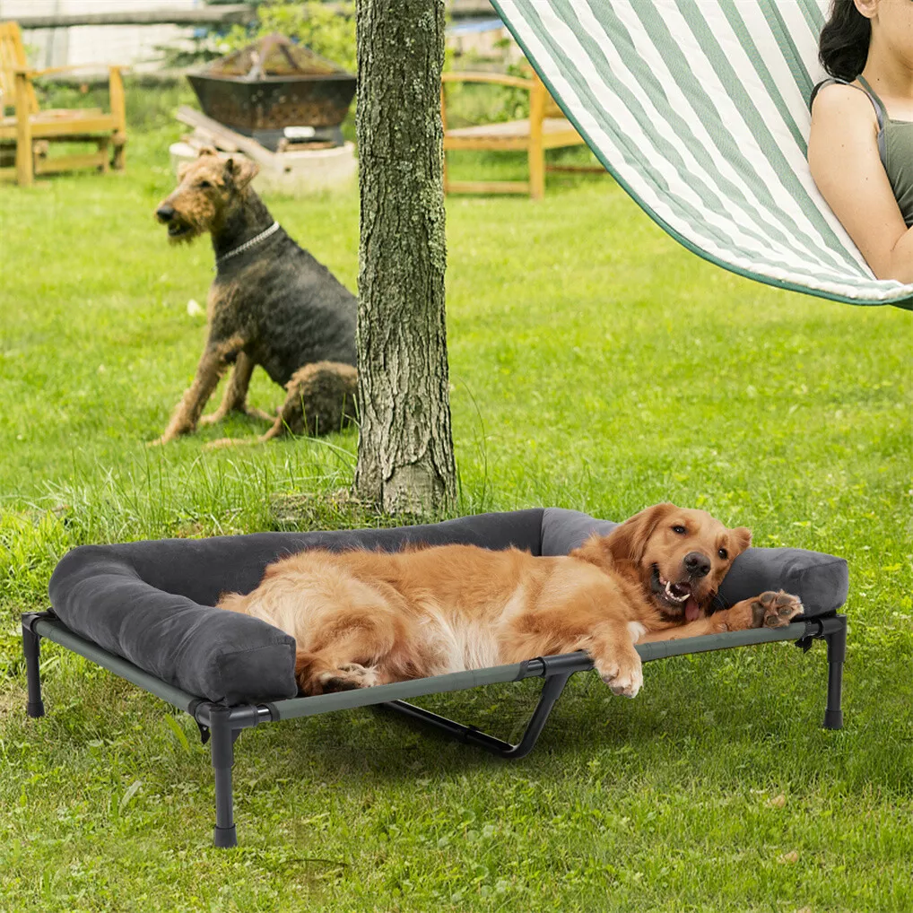 BINGOPAW Outdoor Dog Bed Eleva - огляд і ціна Bed Outdoor Camping