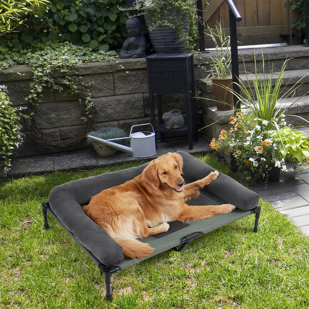 BINGOPAW Outdoor Dog Bed Eleva - огляд і ціна Bed Outdoor Camping